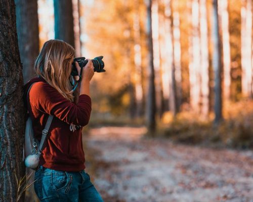 pexels-david-bartus-43782-610293